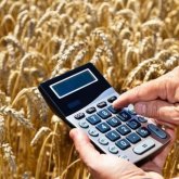 300 млрд на субсидии в год и утроенная цена на картофель: как такое может быть?