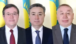 Токаев сменил послов в нескольких странах