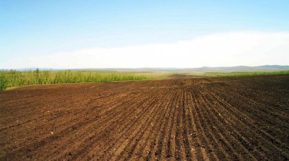 Государству возвращено 1,1 млн га сельхозземель