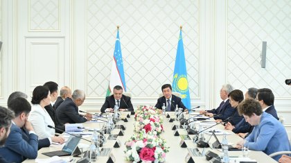 Совместные проекты в сфере информационных технологий обсудили парламентарии Казахстана и Узбекистана