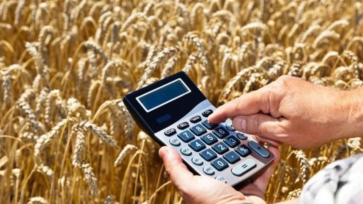 300 млрд на субсидии в год и утроенная цена на картофель: как такое может быть?