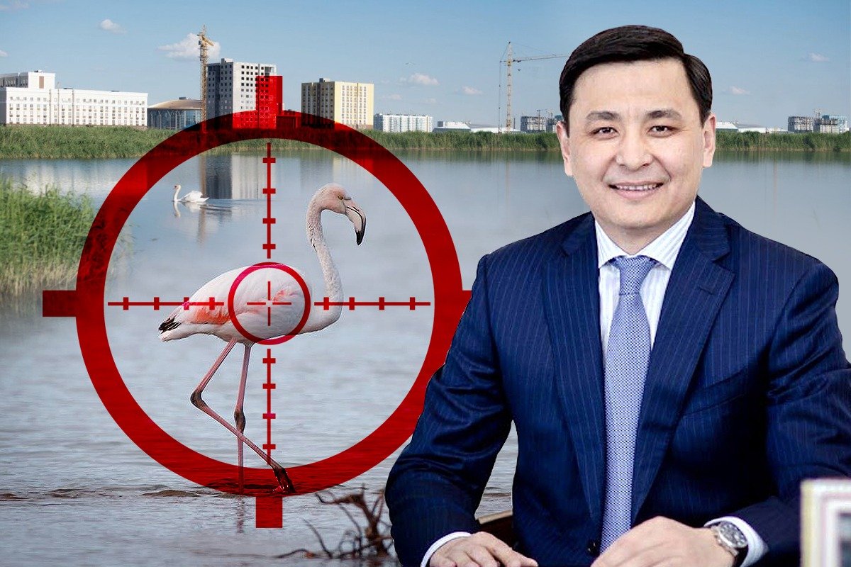 Алтай Кульгинов ударил самосвалами по фламинго: астанчане требуют отставки акима